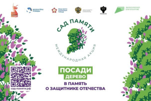 Дерево Победы Дерево Победы.